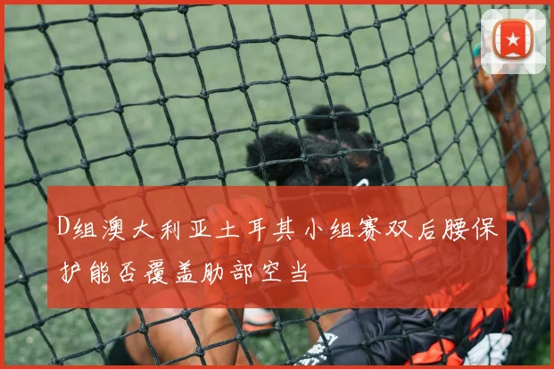 D组澳大利亚土耳其小组赛双后腰保护能否覆盖肋部空当